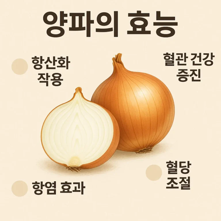 양파의효능